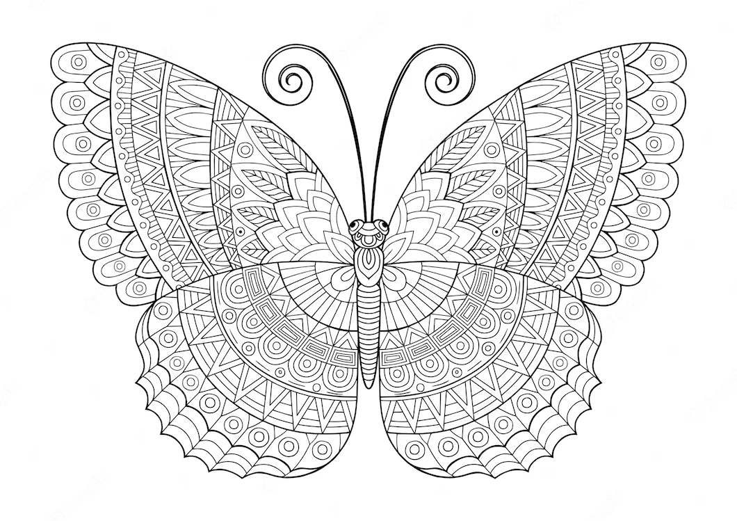 Симметричная бабочка а4 раскраска