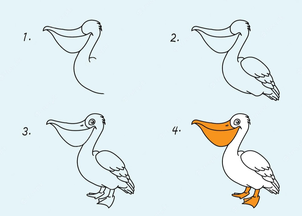 Как рисовать пеликана