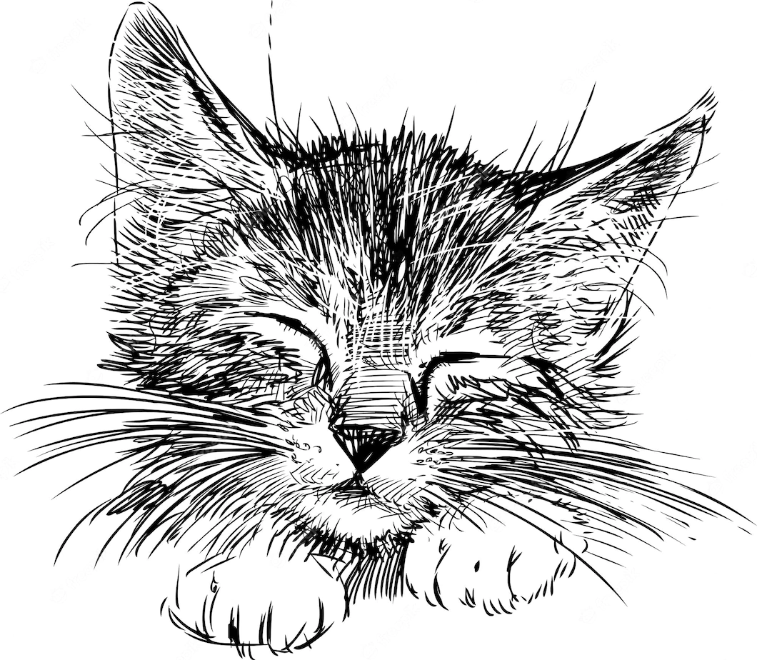 Портрет кошки Графика