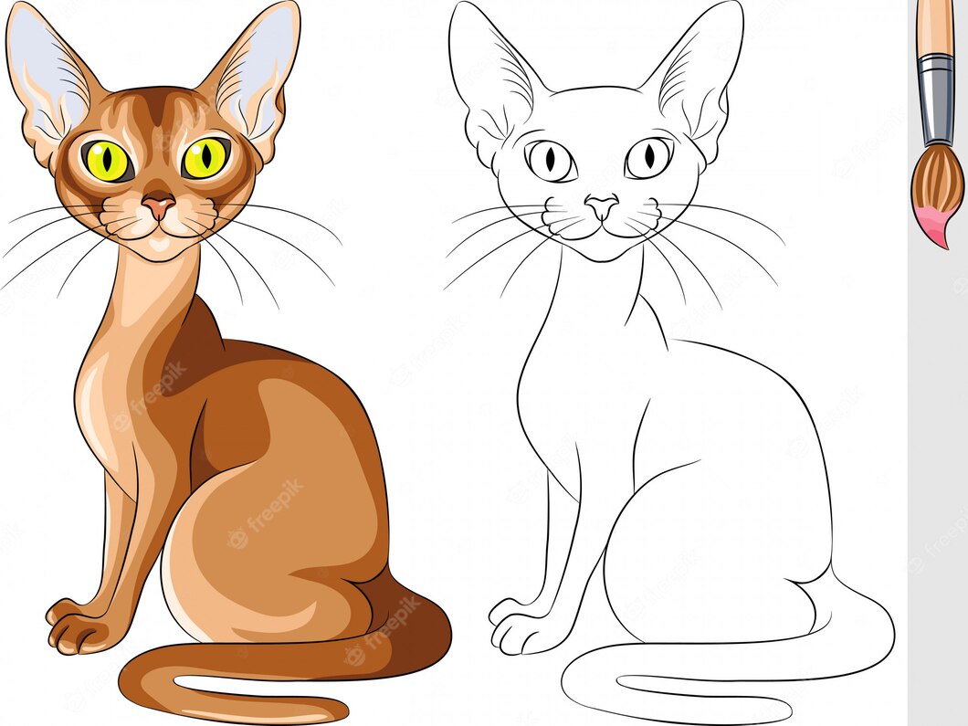 Раскраска абиссинский кот