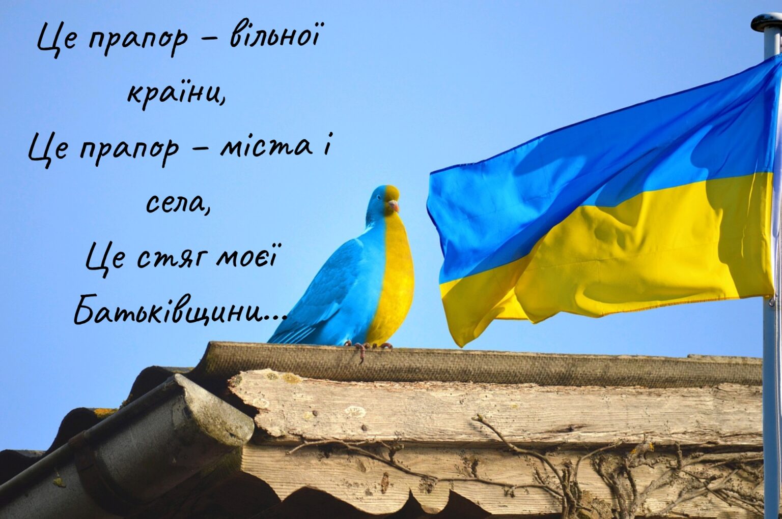 Картинки та привітання з днем прапора України 1535