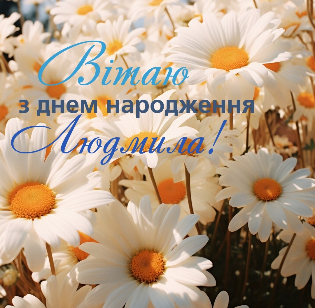 Ромашки и солнце